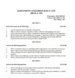 BEGLA 135 IGNOU Assignment