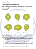 LSE 06 IGNOU Solved Assignments 2025 (Hindi) PDF Download – IGNOU Galaxy - Image 3