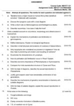 BBYCT 131 QUESTION PAPER