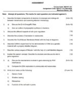 BBYET 141 QUESTION PAPER