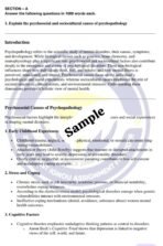 MPCE 11