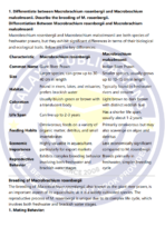 BAQ 002 IGNOU Solved Assignments 2024-25 (English) PDF Download – IGNOU Galaxy - Image 3