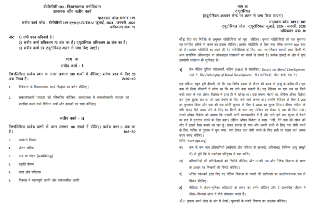 BPCC 109 IGNOU Solved Assignments 2024-25 (Hindi) PDF Download – IGNOU Galaxy - Image 2
