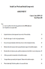 BSW 125 IGNOU Solved Assignments 2025-26 (English) PDF Download – IGNOU Galaxy - Image 2