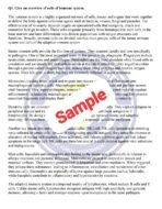 BBCCT 127 IGNOU Solved Assignment