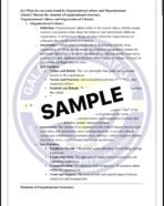 MIS 25 IGNOU Solved Assignments 2025 (English) PDF Download – IGNOU Galaxy - Image 3