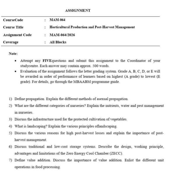 MAM 64 QUESTION PAPER