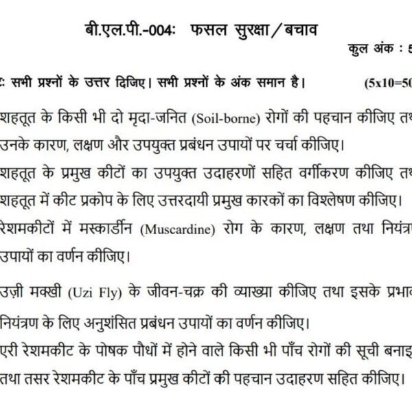 BLP 4 QUESTION PAPER